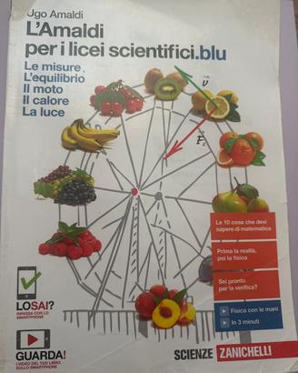 Libro di fisica