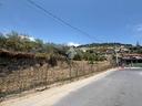 ter-agricolo-a-bordighera