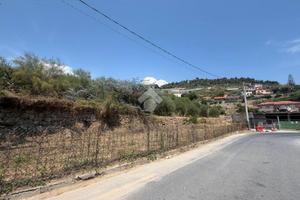 TER. AGRICOLO A BORDIGHERA