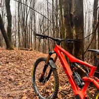 BH ilynx trail xt