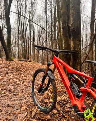 BH ilynx trail xt
