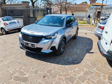 Peugeot 2008 PureTech 100 S&S Active