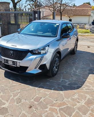 Peugeot 2008 PureTech 100 S&S Active