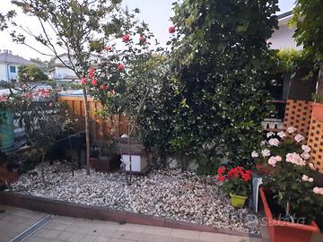 Cesenatico, Villamarina, indipendente