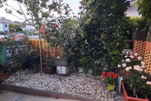 Cesenatico, Villamarina, indipendente