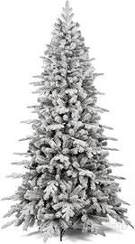 albero di natale