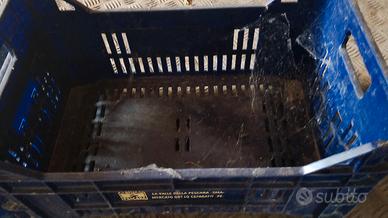 Cassette per frutta e verdura