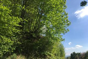 TER. RESIDENZIALE A STRONA