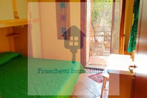 Olbiamare bilocale con giardino