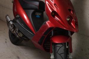 F12 polini Evolution 