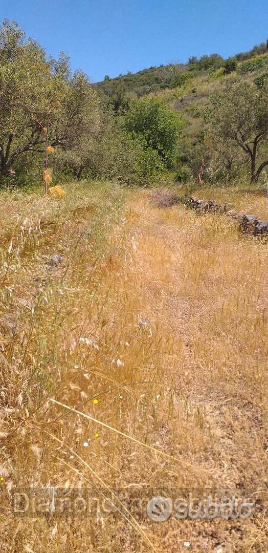 Terreno agricolo a Linguaglossa - Vista 4