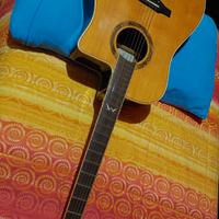 Chitarra Acustica Eko Mia D CW eq