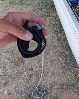 Leash Dakine  surf wingfoil
