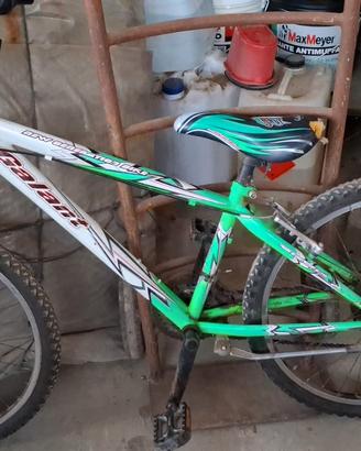 Bicicletta da bambino 7/10 anni