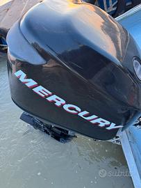 Mercury optimax 90 / 115