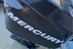 Mercury optimax 90 / 115