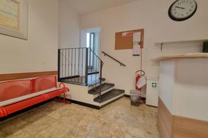 FIRENZE GELSOMINO Ufficio con giardino