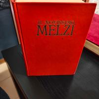 il nuovissimo MELZI 