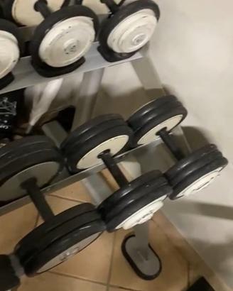 Coppie di Manubri da palestra 2-32kg