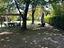 Immagine 12
