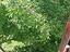 Immagine 18