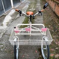 bicicletta 3 ruote 