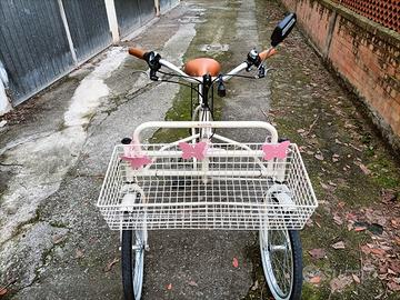 bicicletta 3 ruote 