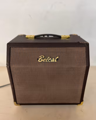 Amplificatore per strumenti Belcat
