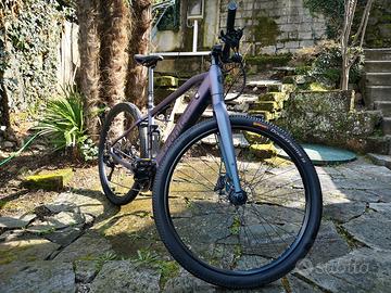 E-bike econic bandit one