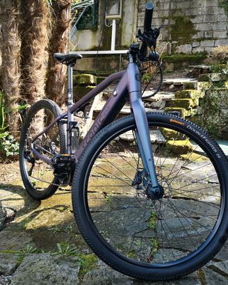 E-bike econic bandit one