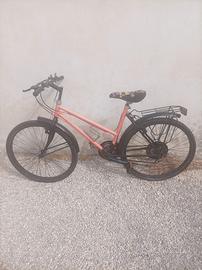 Bici donna
