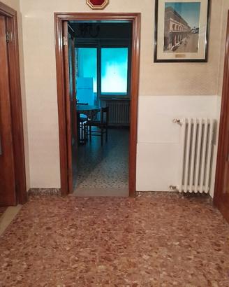 Camere studenti universitari a Pescara
