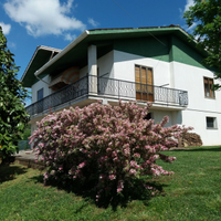 Casa singola con uliveto