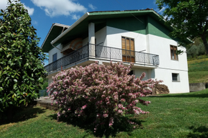 Casa singola con uliveto