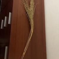 decorazioni natalizie albero o contesto presepe