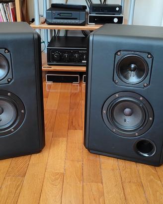 Casse monovia Ikarus Audio