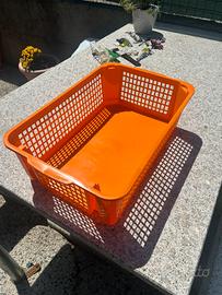 Scatole in plastica