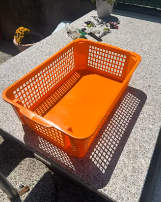 Scatole in plastica