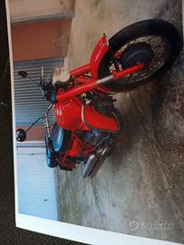 Moto guzzi falcone 500
