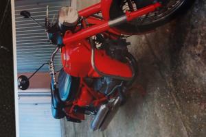 Moto guzzi falcone 500