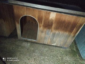  cucce per cani taglia media  