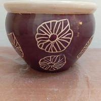 vaso per piante