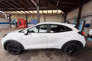 Ford Pume gpl