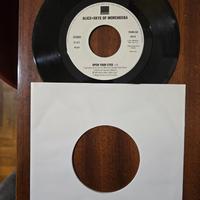 Phil Collins / Alice + Skye – True Colors / Open Y