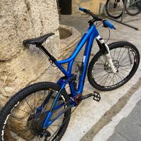 Bici enduro 