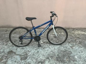 Bicicletta Mountain Bike Cherri FreeRoad