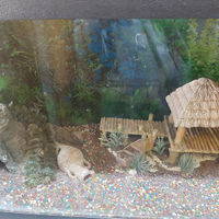 Decorazioni acquario