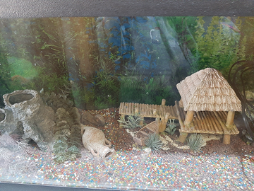 Decorazioni acquario