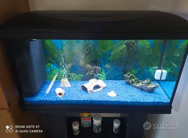 Acquario con mobile e accessori