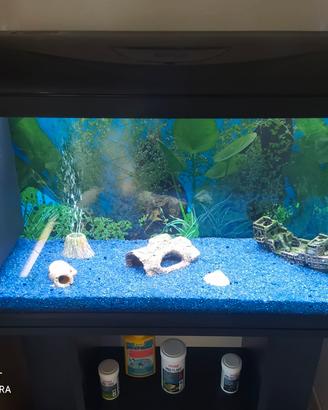 Acquario con mobile e accessori